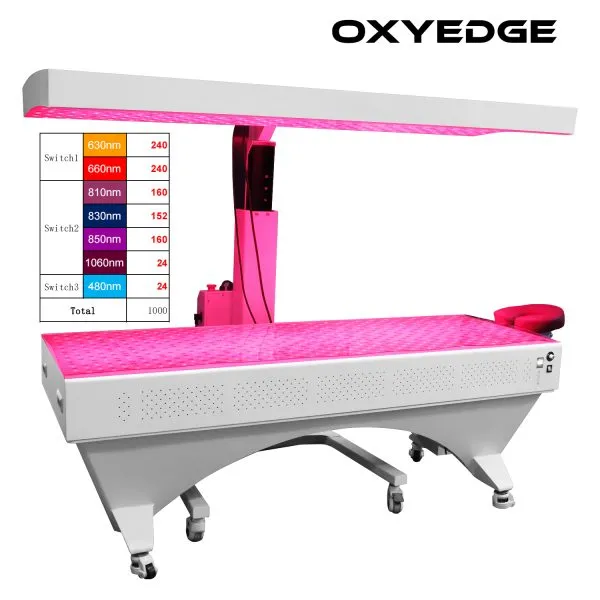 LED therapy bed with adjustable panel